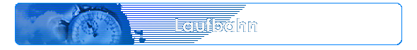 Laufbahn