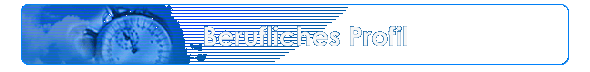 Berufliches Profil